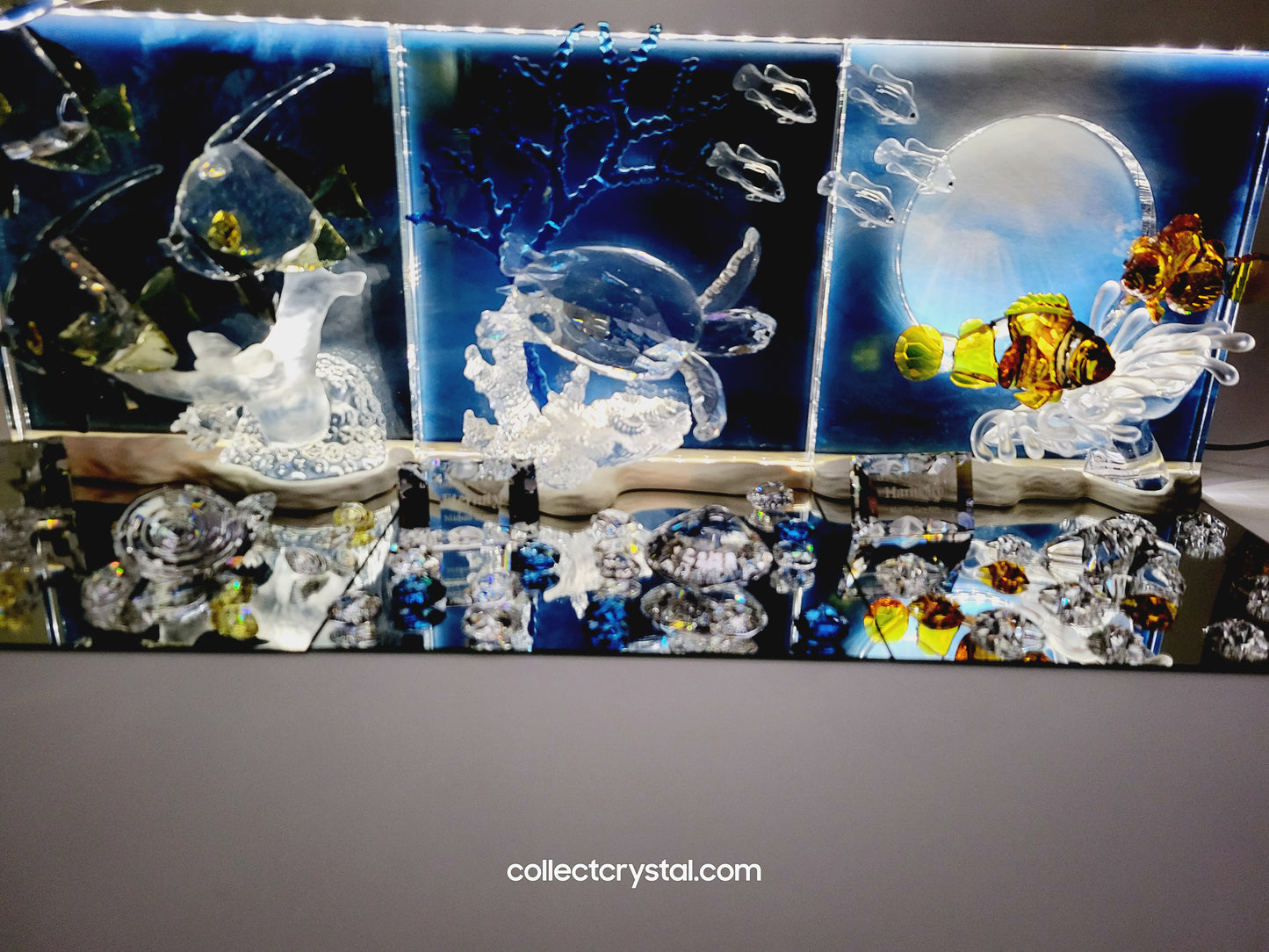 Wonders of the Sea - Community 2007 ANNUAL EDITION COLOR 854650