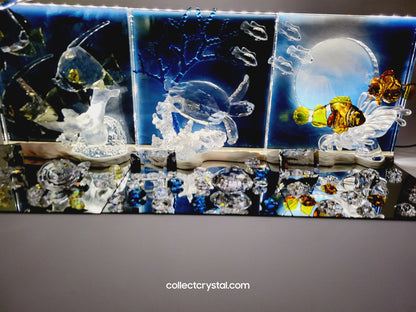 Wonders of the Sea - Community 2007 ANNUAL EDITION COLOR 854650
