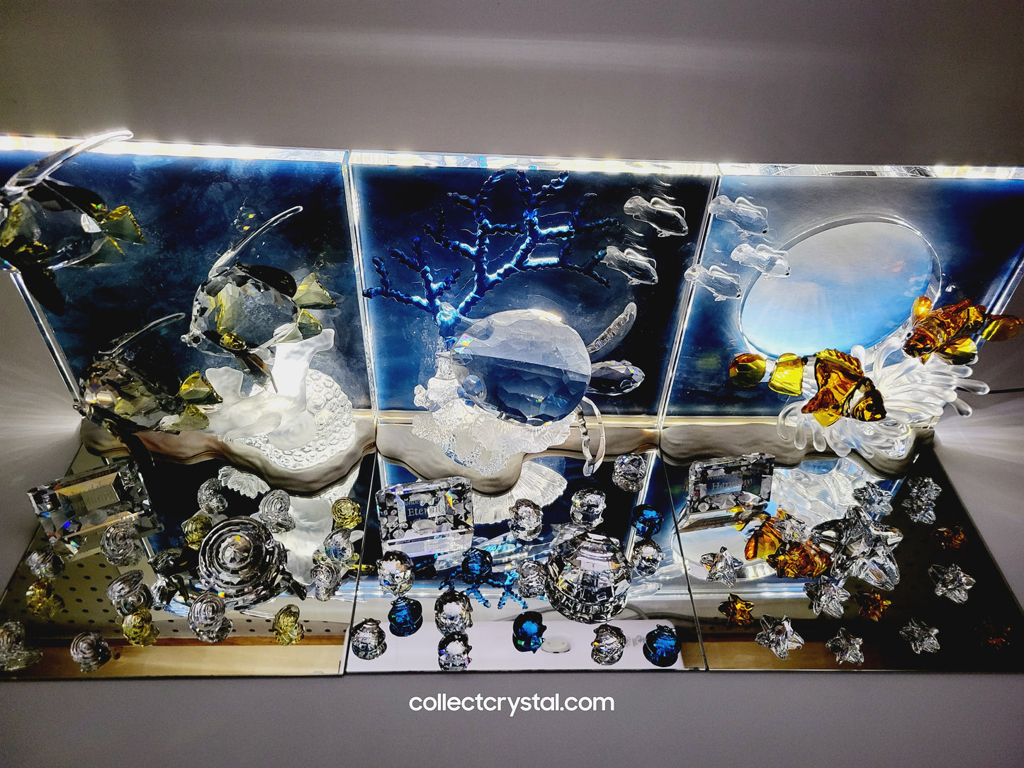 Wonders of the Sea - Community 2007 ANNUAL EDITION COLOR 854650