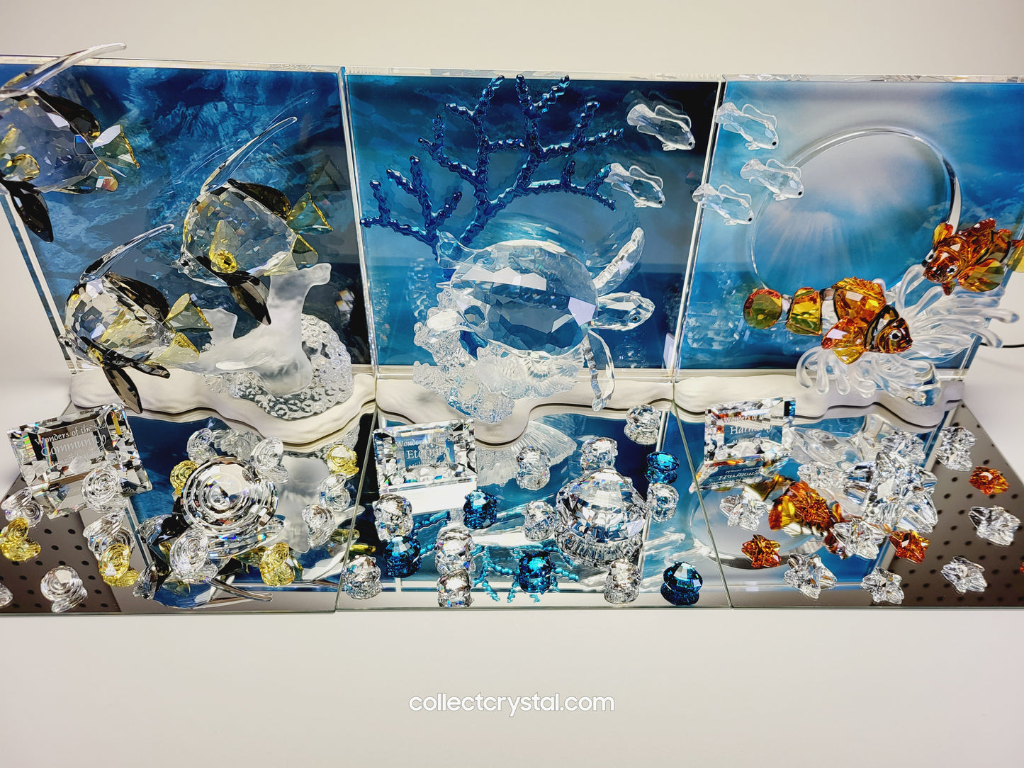 Wonders of the Sea Complete Set ANNUAL EDITION  – COLOR Harmony, Eternity & Community