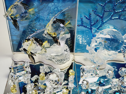 Wonders of the Sea - Community 2007 ANNUAL EDITION COLOR 854650