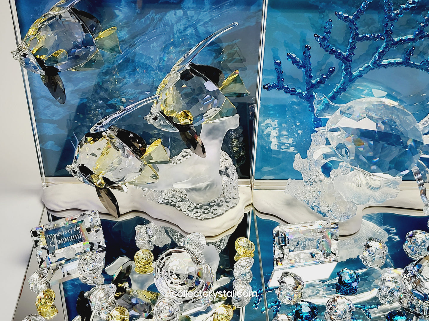 Wonders of the Sea Complete Set ANNUAL EDITION  – COLOR Harmony, Eternity & Community