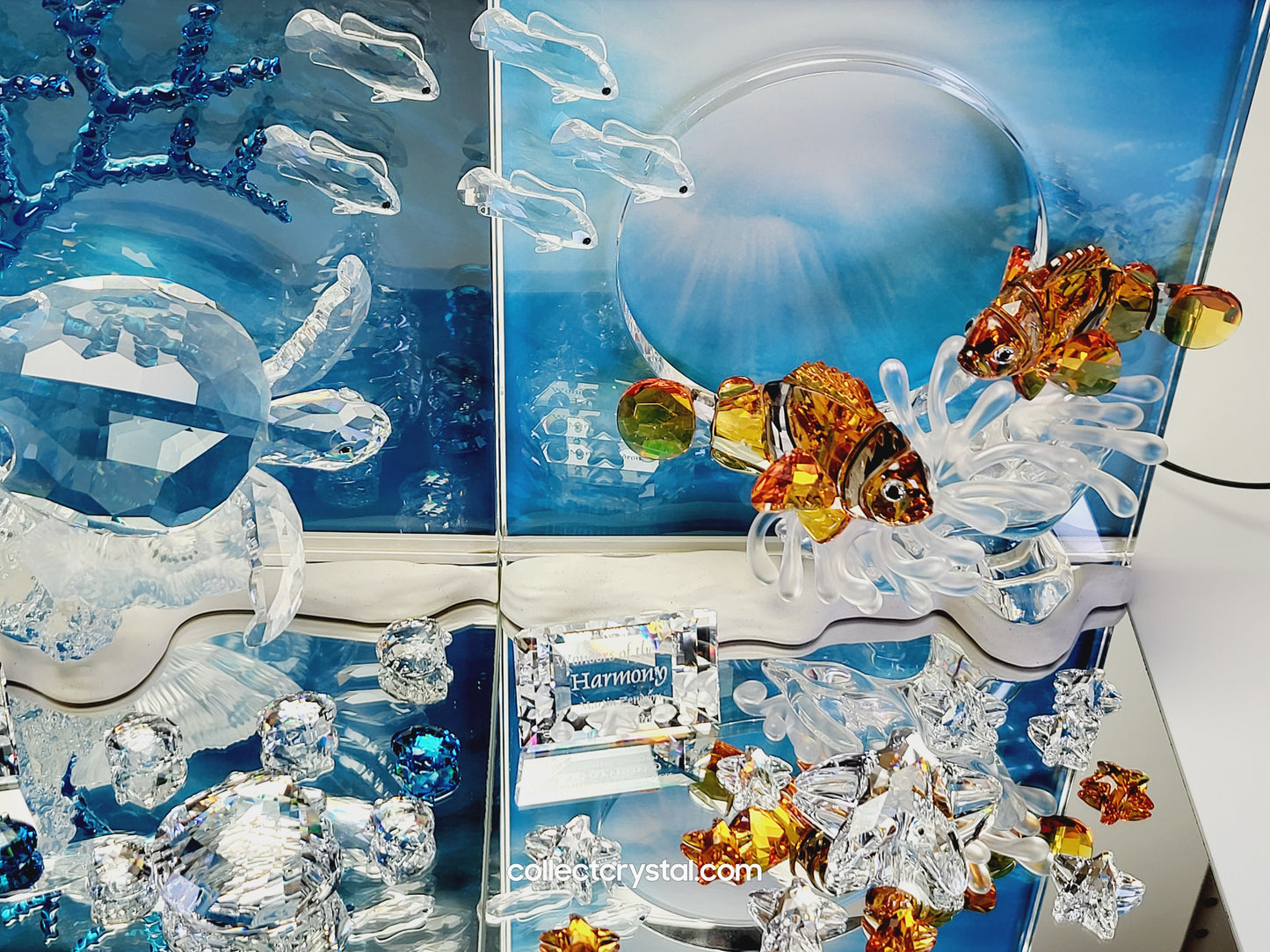 Wonders of the Sea Complete Set ANNUAL EDITION  – COLOR Harmony, Eternity & Community