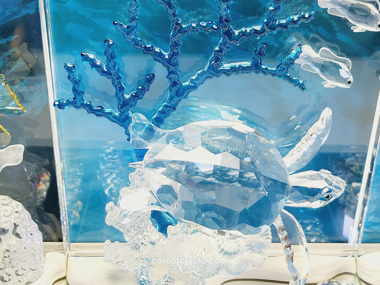 Wonders of the Sea Complete Set ANNUAL EDITION  – COLOR Harmony, Eternity & Community