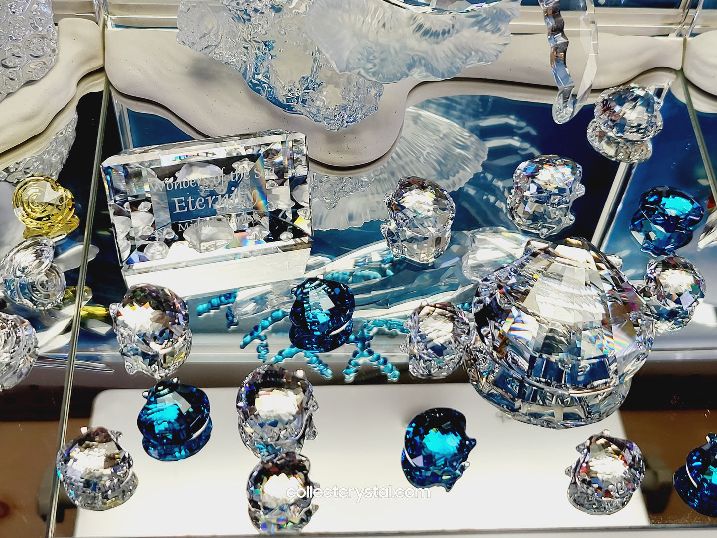 Wonders of the Sea Complete Set ANNUAL EDITION  – COLOR Harmony, Eternity & Community