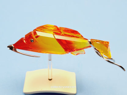 Crotone Fish PARADISE FISH AND SOUTH SEA CROTONE FIRE OPAL 626202