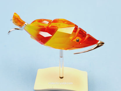 Crotone Fish PARADISE FISH AND SOUTH SEA CROTONE FIRE OPAL 626202