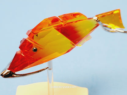 Crotone Fish PARADISE FISH AND SOUTH SEA CROTONE FIRE OPAL 626202