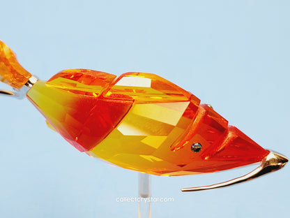 Crotone Fish PARADISE FISH AND SOUTH SEA CROTONE FIRE OPAL 626202