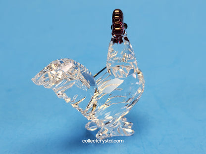 Rooster cockerel red crowned  247759