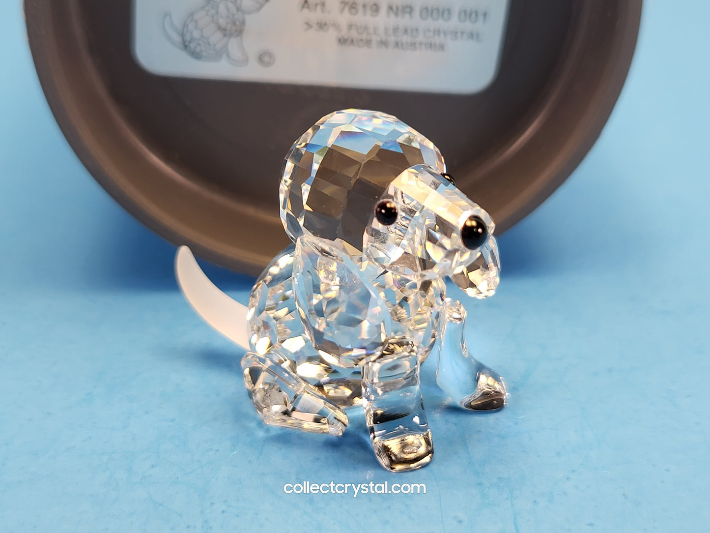 Dog BEAGLE Figurine PUPPY SITTING 158418 7619NR000001