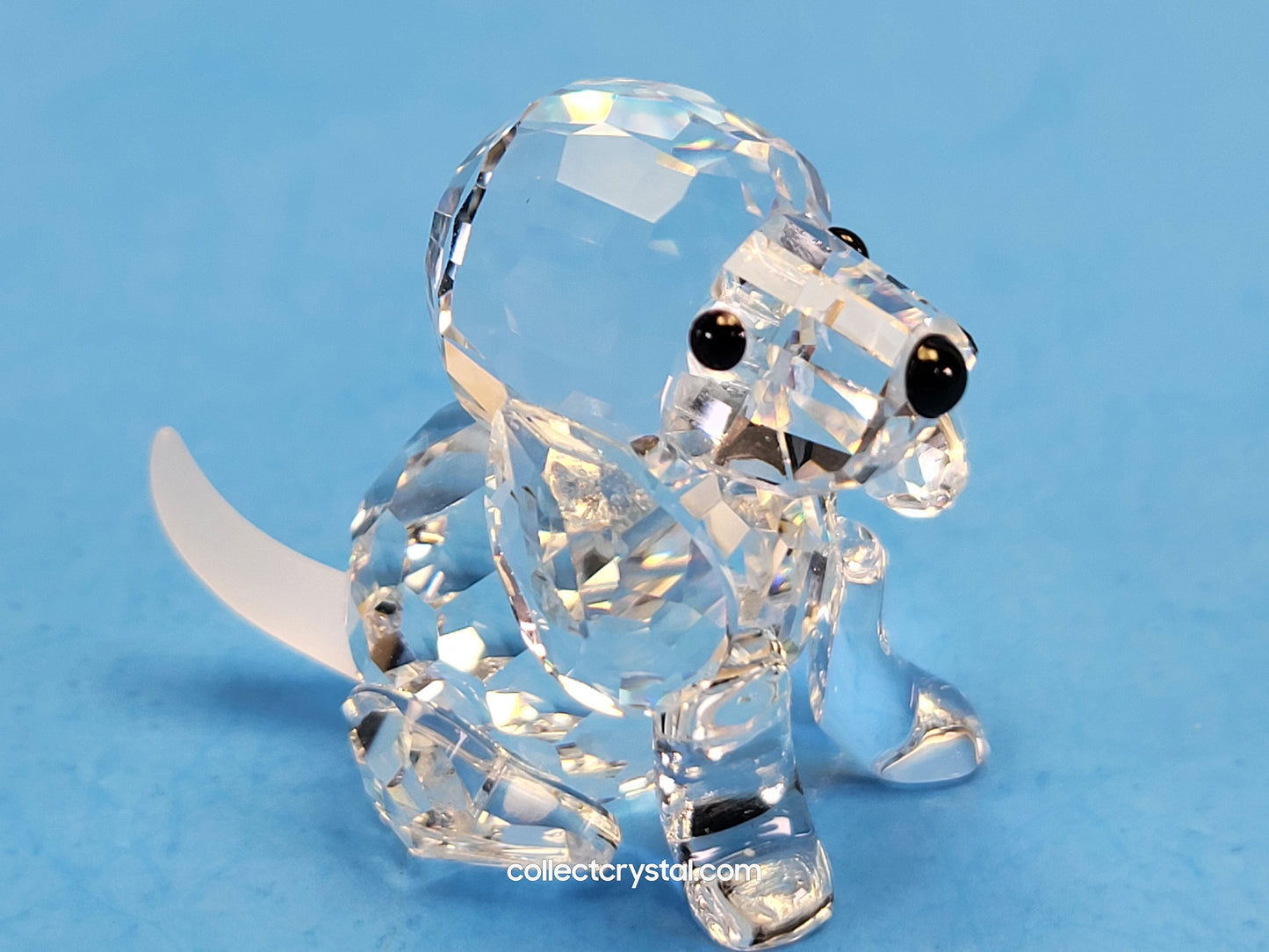 Dog BEAGLE Figurine PUPPY SITTING 158418 7619NR000001