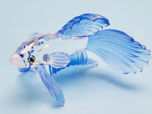 SIAMESE FIGHTING FISH Figurine BLUE Beta 236718