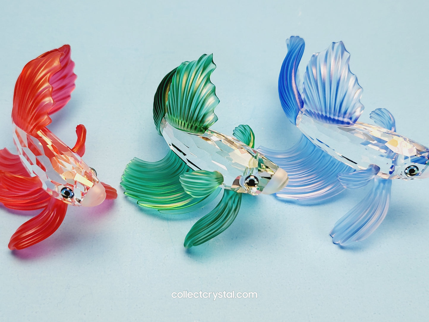 SIAMESE FIGHTING FISH Figurine BLUE Beta 236718