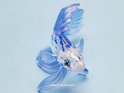 SIAMESE FIGHTING FISH Figurine BLUE Beta 236718