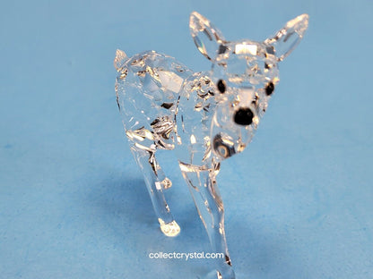 Deer fawn wildlife 7608 NR 000 002 / 235045 Roe