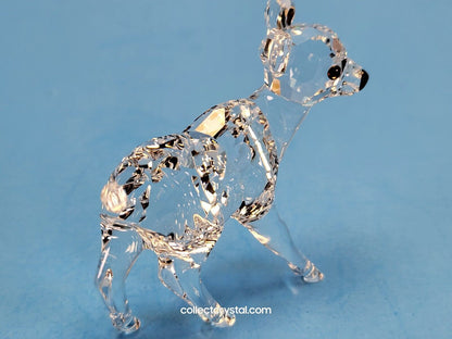 Deer fawn wildlife 7608 NR 000 002 / 235045 Roe