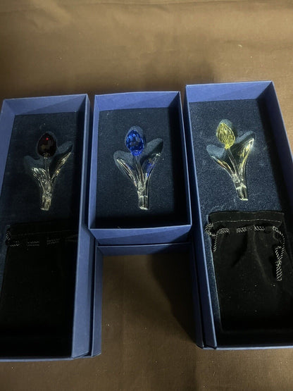 Flowers Renewal Gift Red, Blue, Yellow, + 9 Mini Tulips & Display Mib