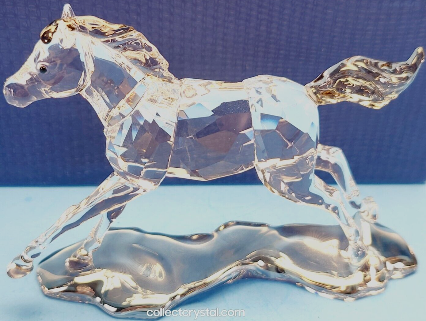 SCS Annual Edition Companion 2014 Esperanza Foal 5004729