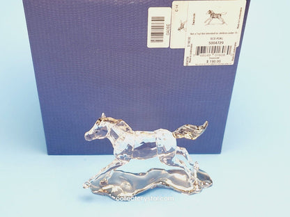 SCS Annual Edition Companion 2014 Esperanza Foal 5004729