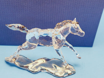 SCS Annual Edition Companion 2014 Esperanza Foal 5004729