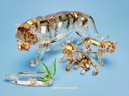 Tiger Cub Standing 1016677 / 1051686 Companion Piece