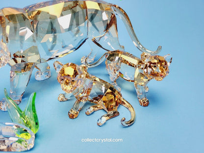 Tiger Cub Standing 1016677 / 1051686 Companion Piece