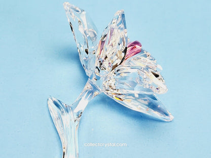 Figurine Orchid flower PINK  CENTER 200280 mib no pillow