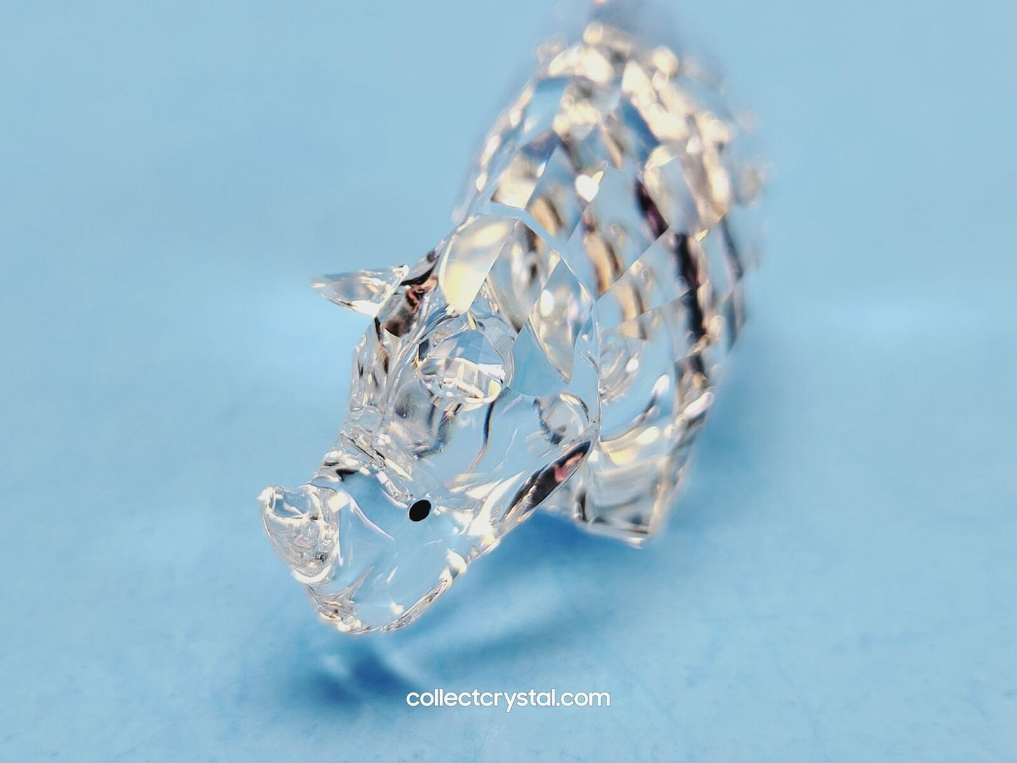 Rhino RHINOCEROS 622941