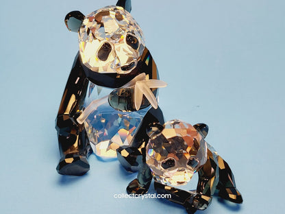 Panda Bears 2008 ANNUAL EDITION PANDA MOTHER AND CUB 900918