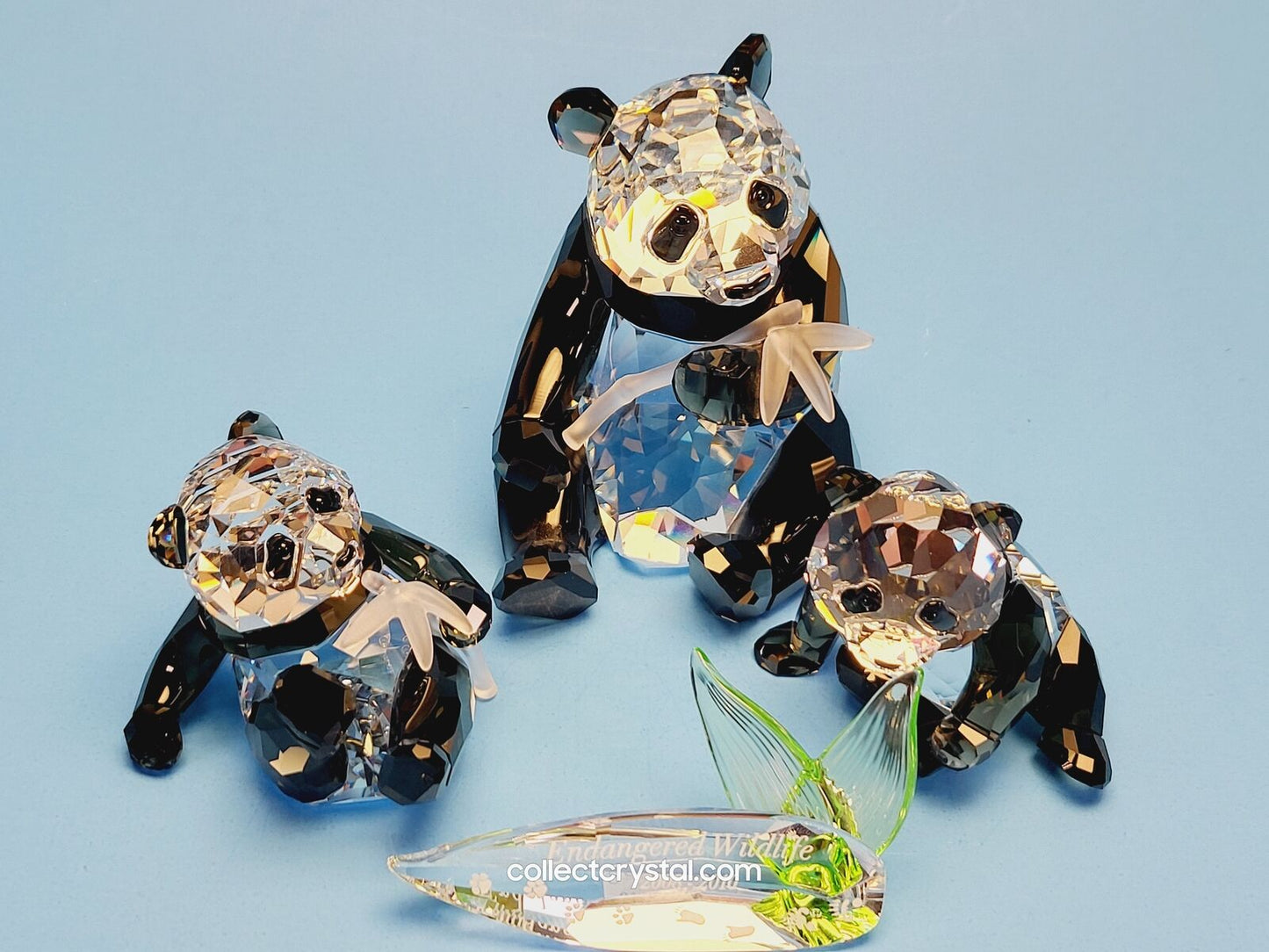 Panda Bears 2008 ANNUAL EDITION PANDA MOTHER AND CUB 900918