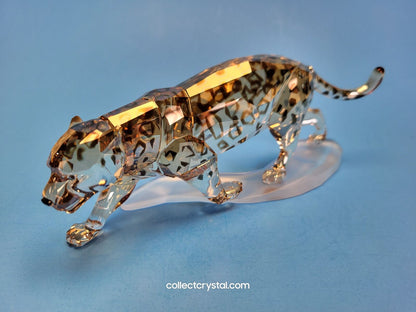 Wildlife Jaguar - Golden Shine 1096796